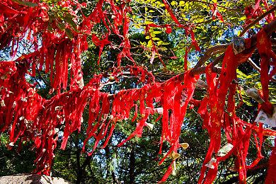 《审判之逝》DLC《海藤正治事件簿》今日发售 官方发布宣传片 