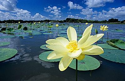 洛基和《堡垒之夜》联动7月上线 化身灾祸之神
